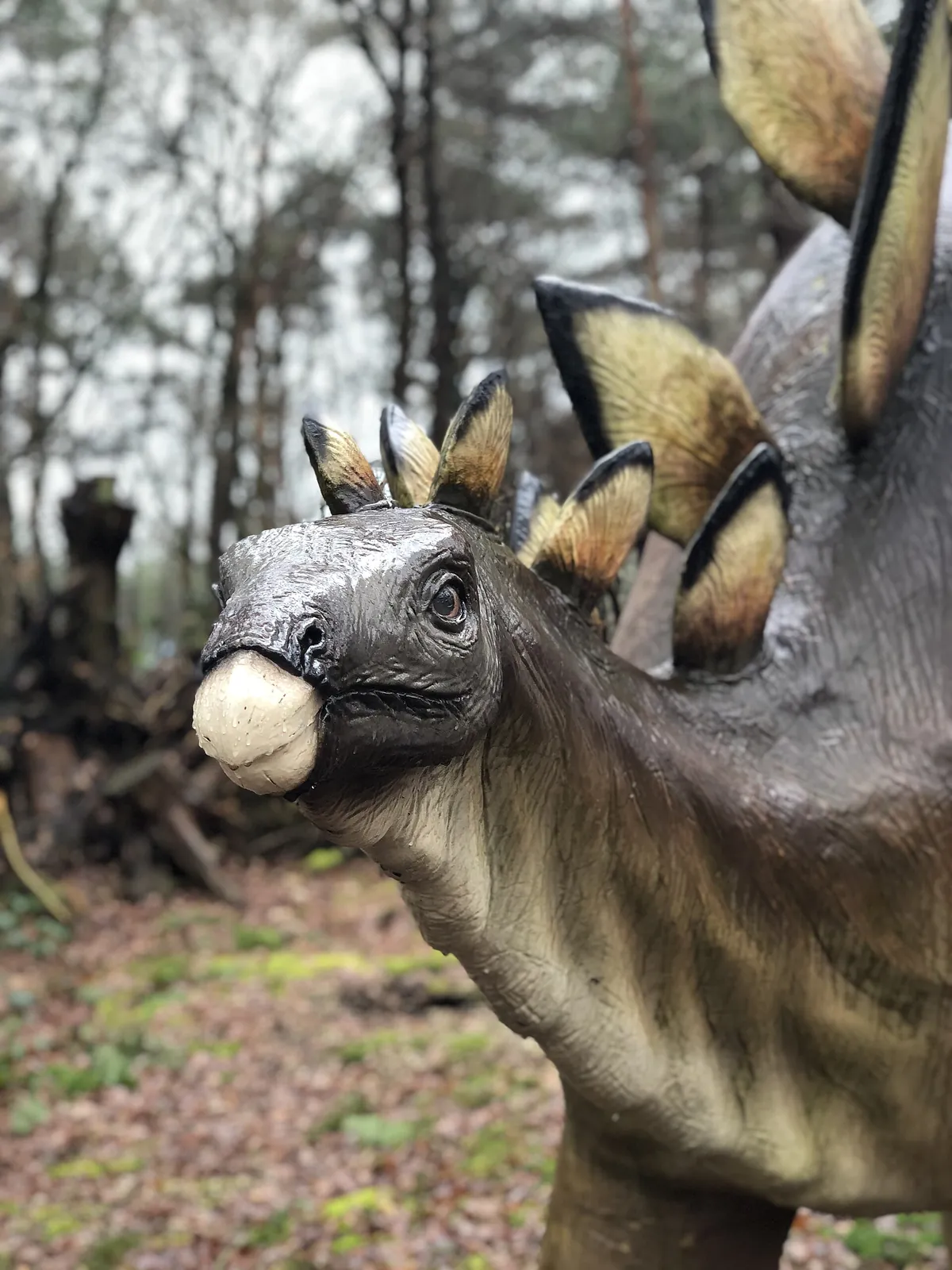 DierenPark Amersfoort