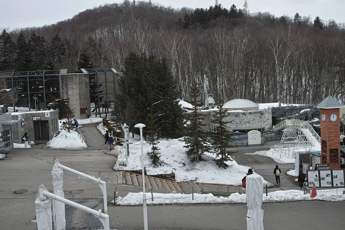 Asahiyama Zoo