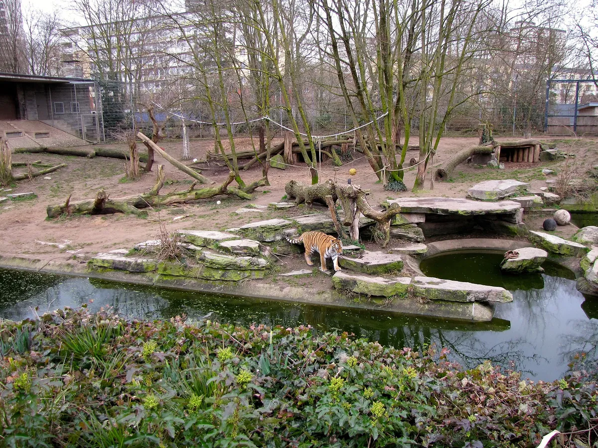 Zoologischer Garten Köln
