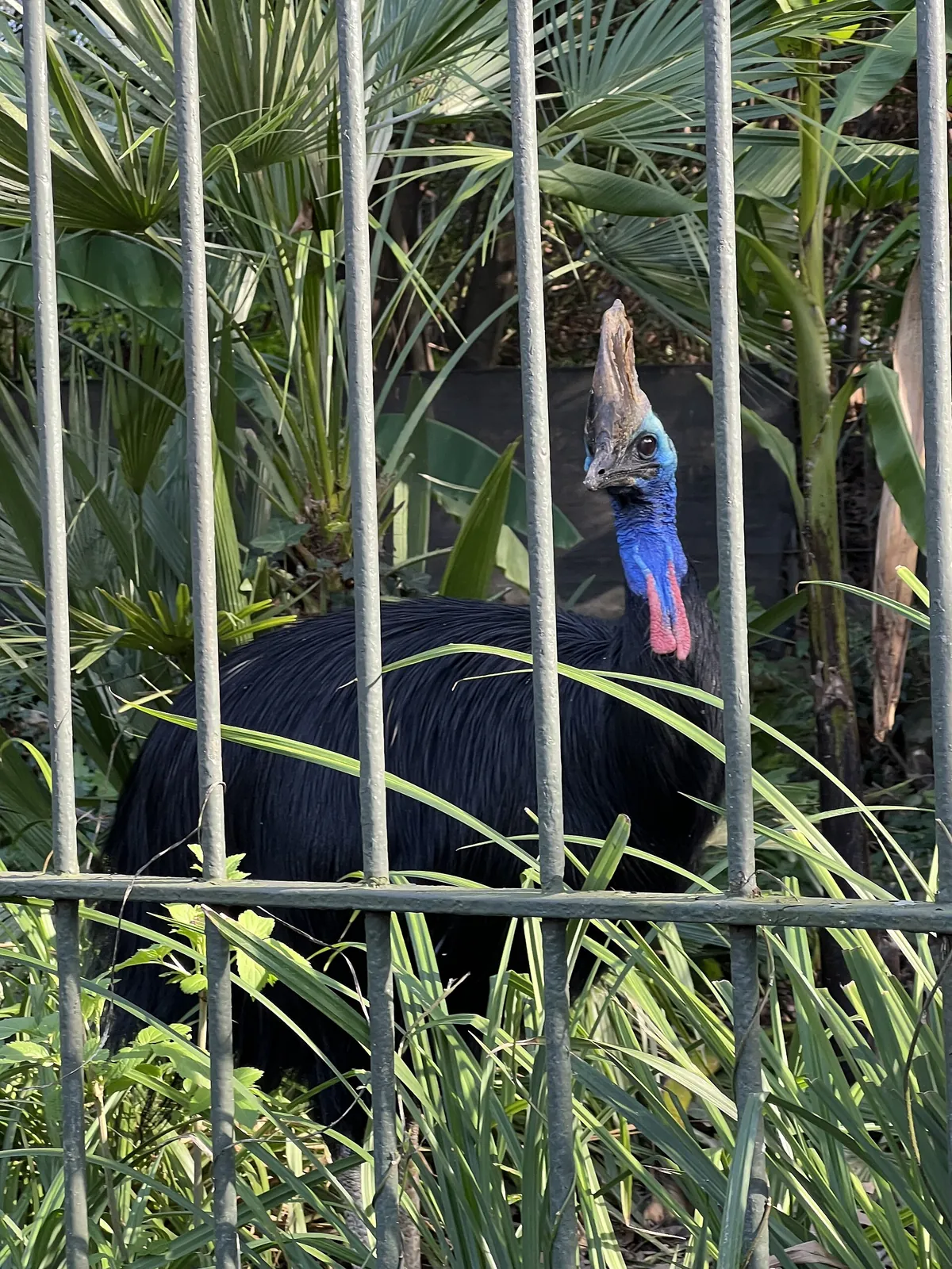 Fondazione Bioparco di Roma
