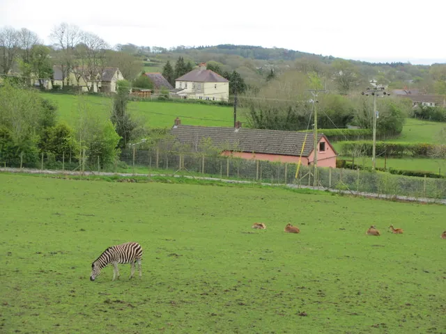 Folly Farm