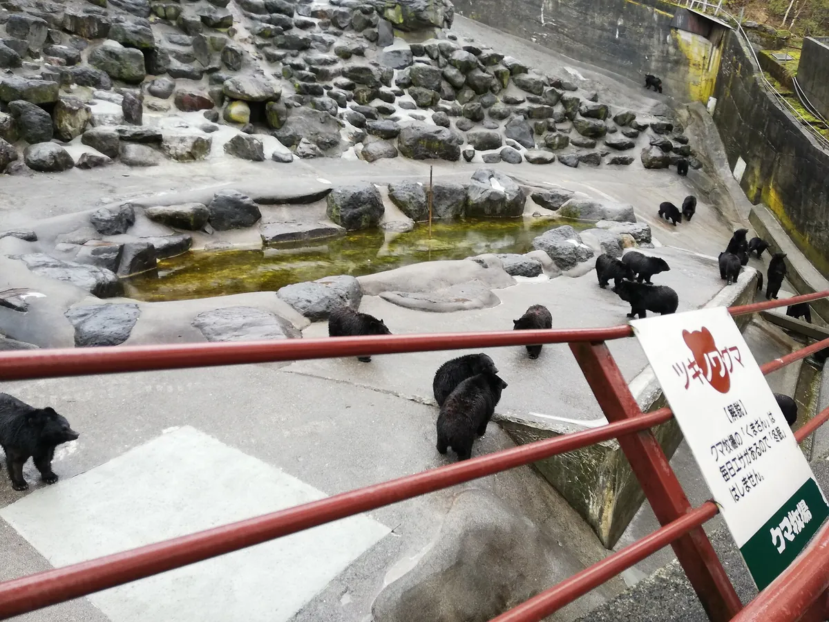 Okuhida Bear Park