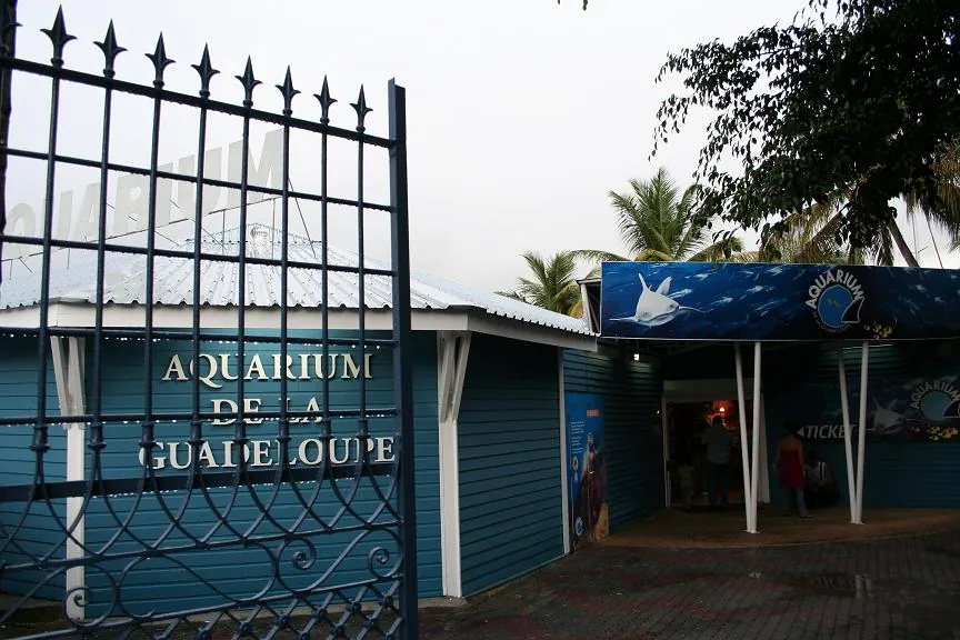 Aquarium de Guadeloupe