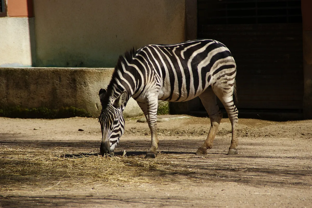CENTRO DE CONSERVACIÓN ZOO CÓRDOBA