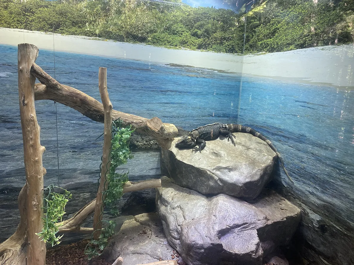 Salisbury Zoo