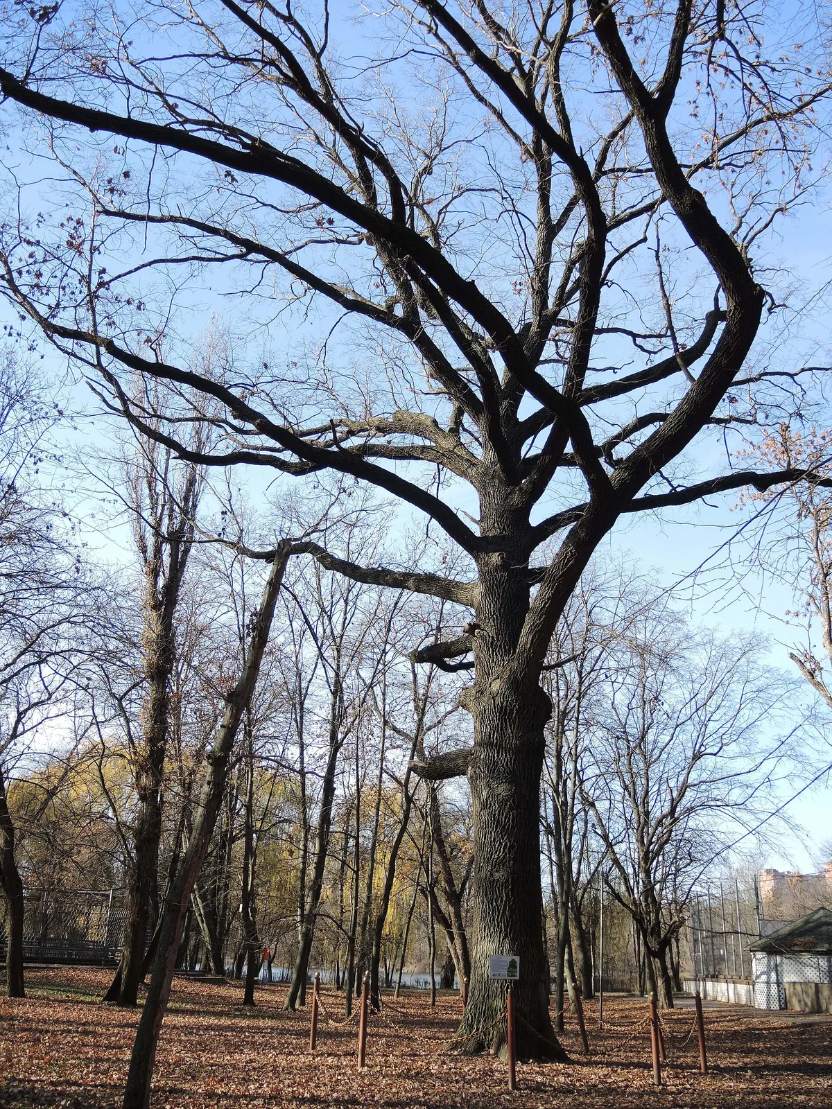 Rostov Zoo