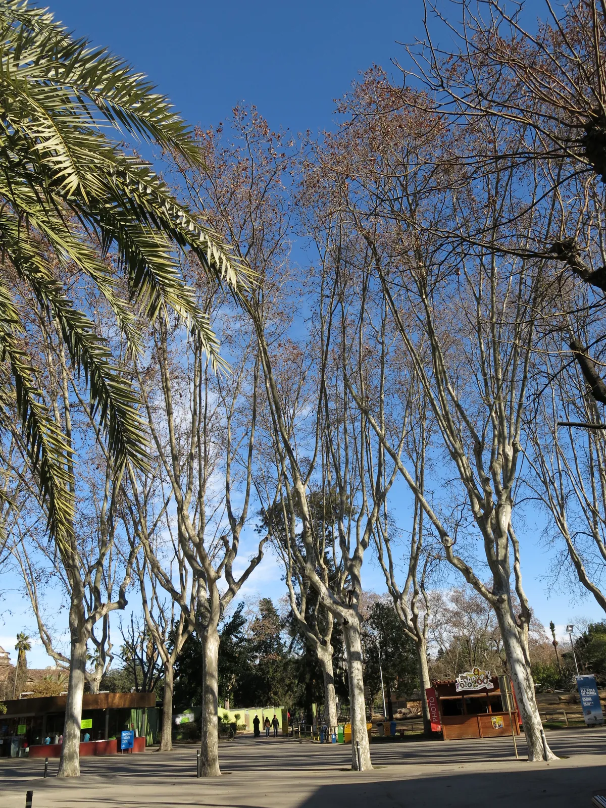 Parc Zoològic de Barcelona