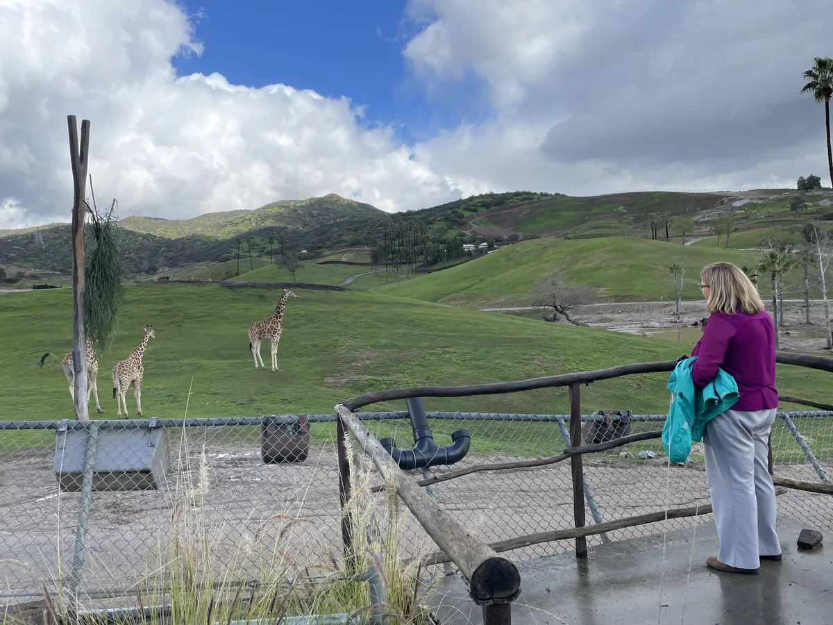 San Diego Zoo