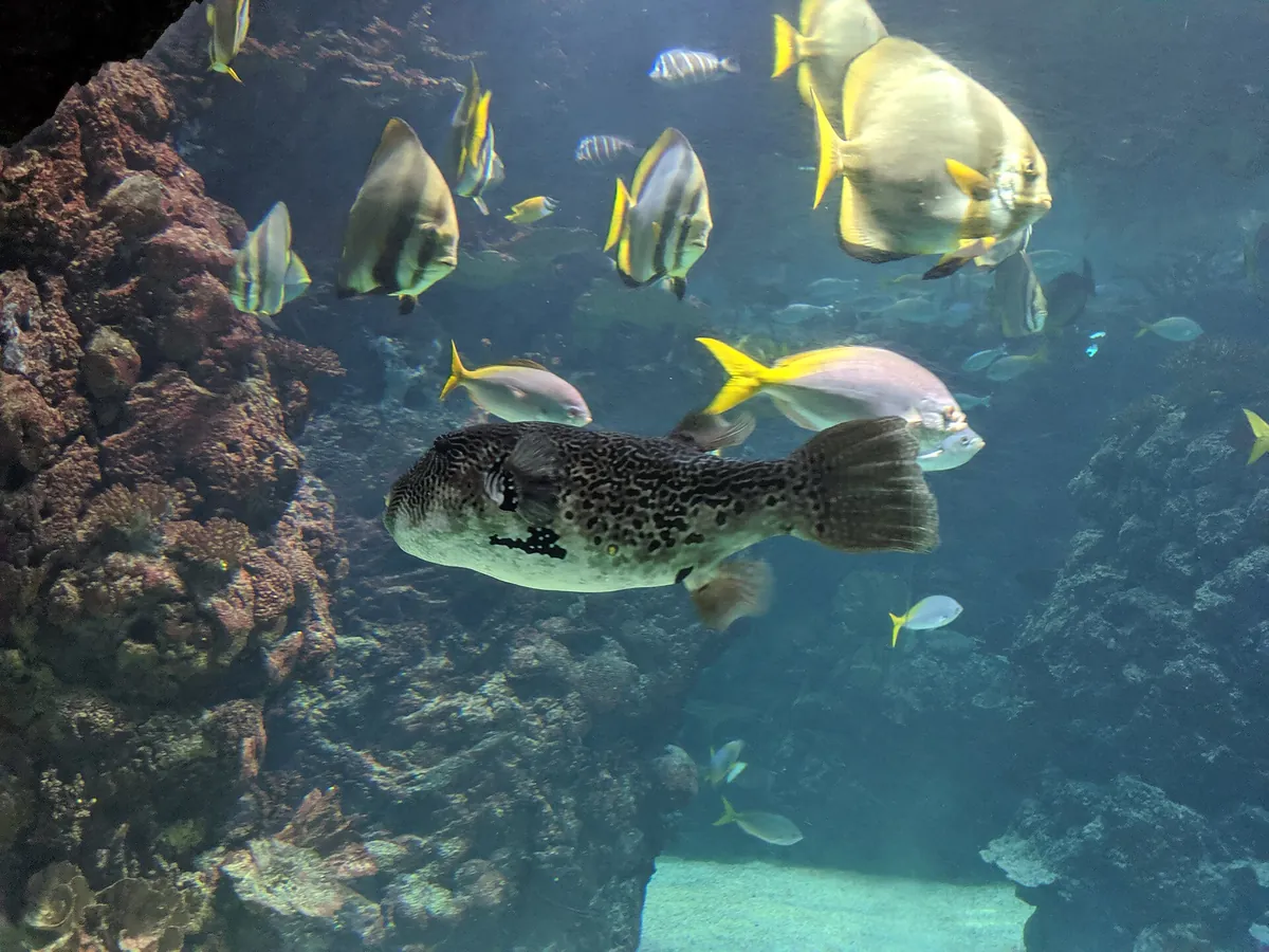 Royal Burgers' Zoo