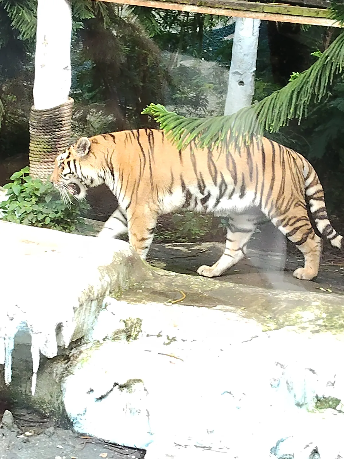 Batu Secret Zoo