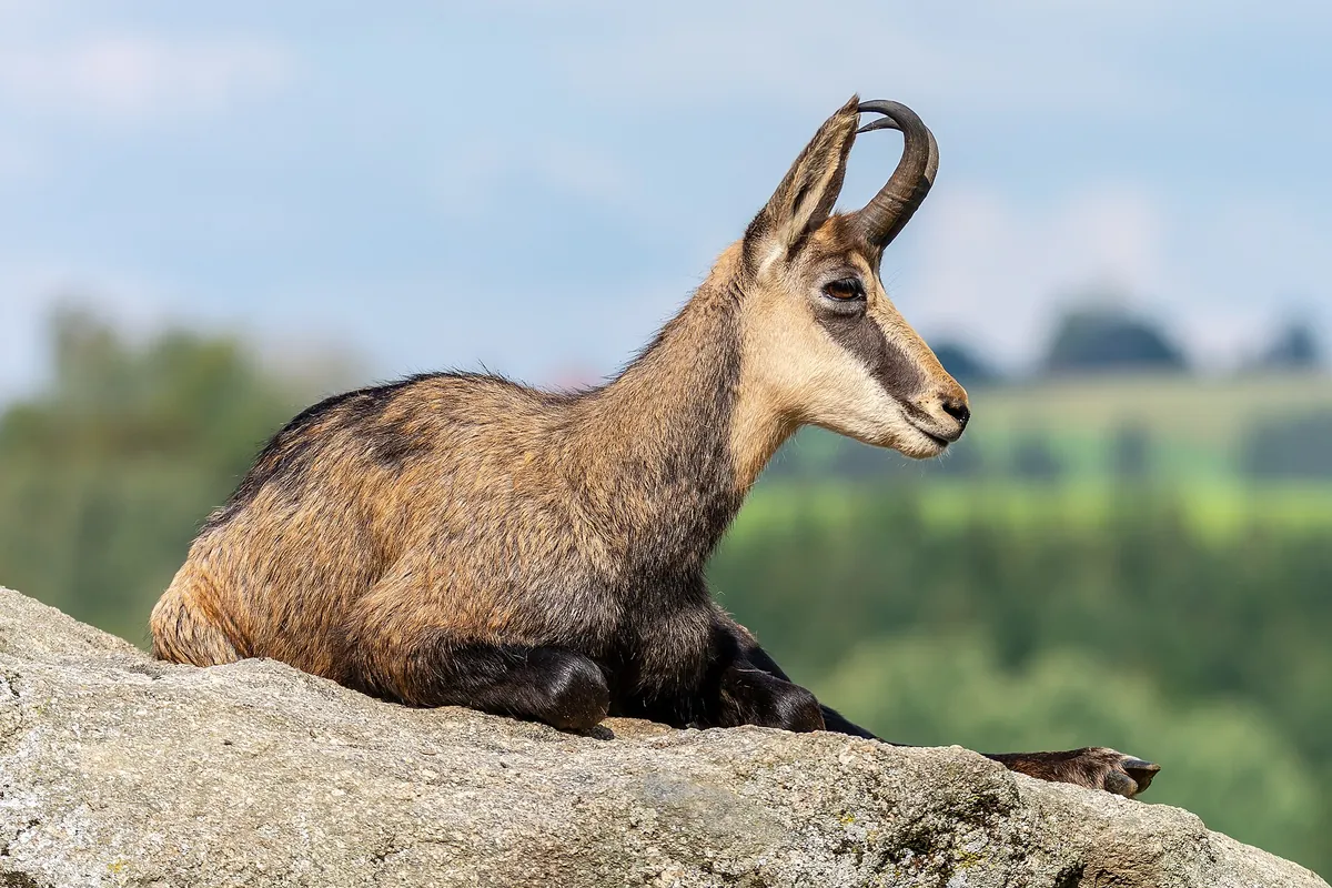 Tierpark Altenfelden