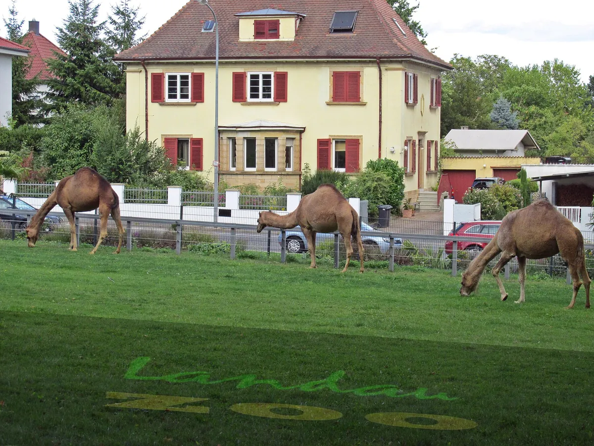 Zoo Landau in der Pfalz