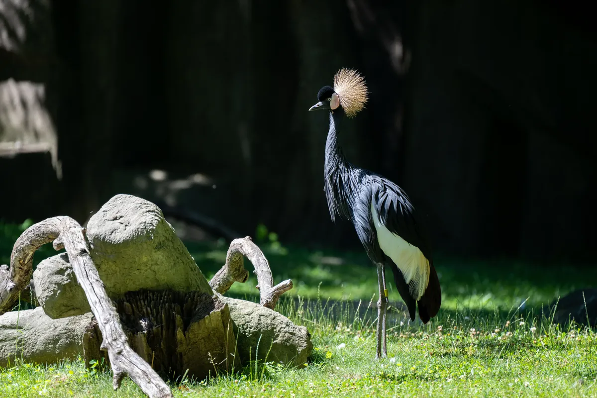 Milwaukee County Zoological Gardens