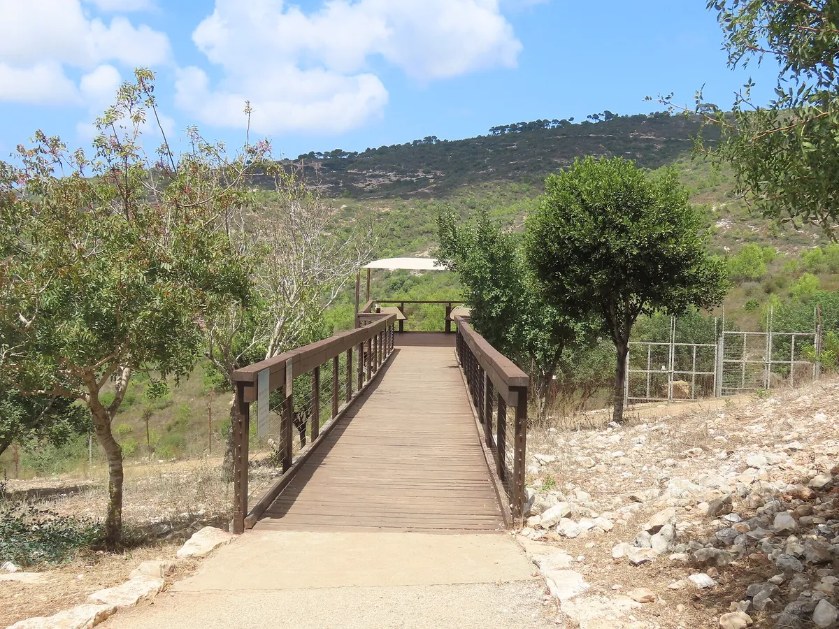 Carmel Hai-Bar Nature Reserve