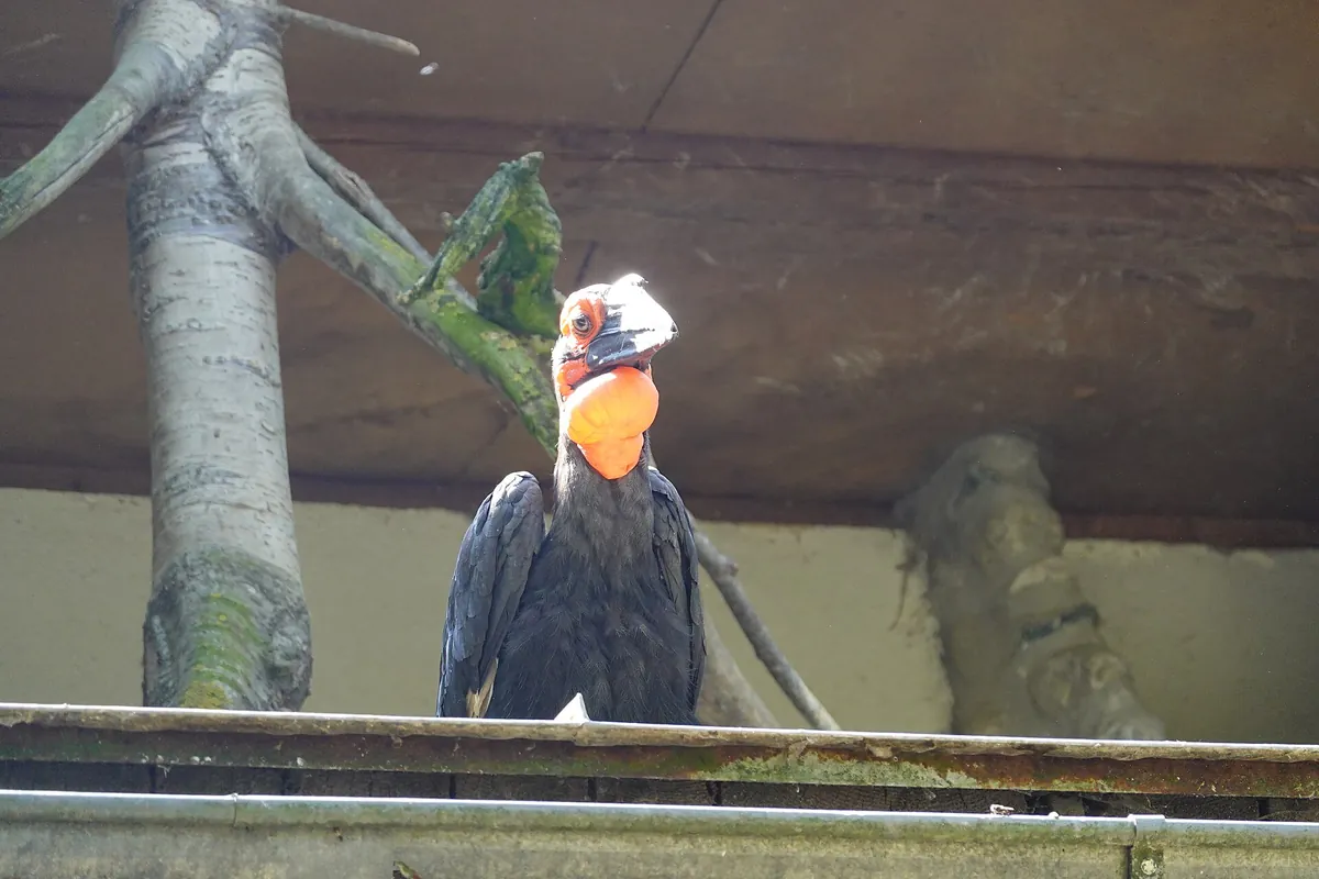 Vogelpark Turnersee