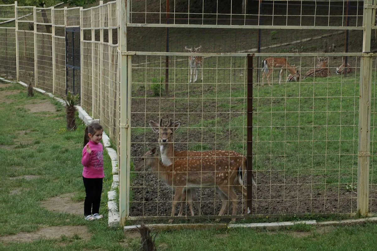 Tirana Zoo