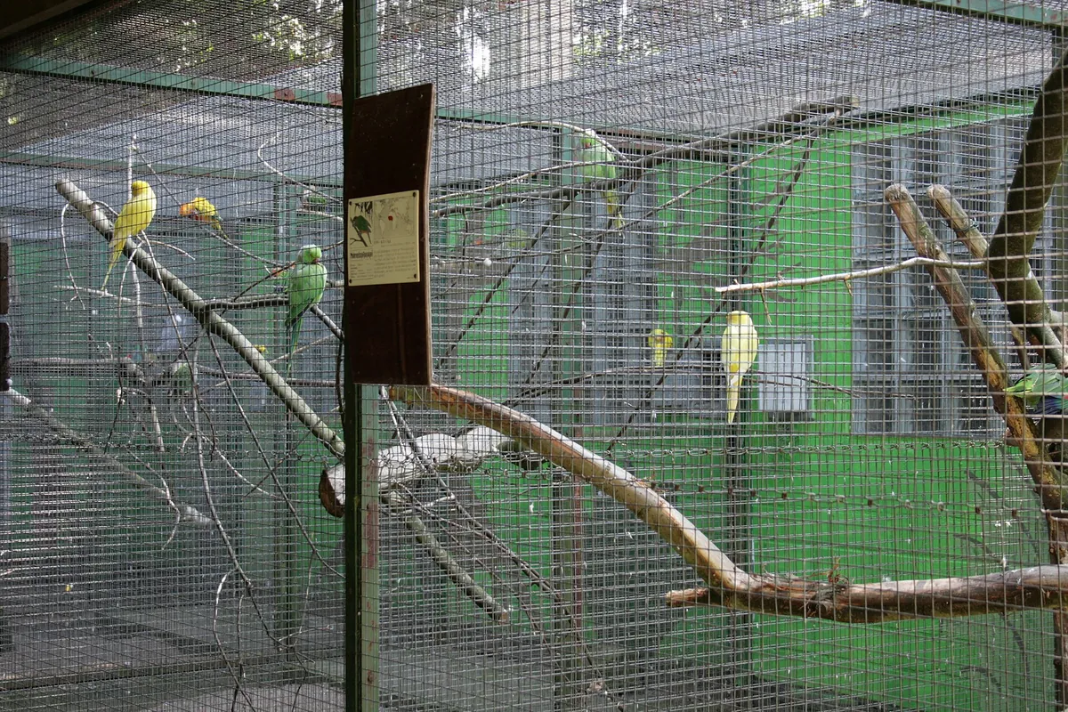 Solinger Vogel- und Tierpark