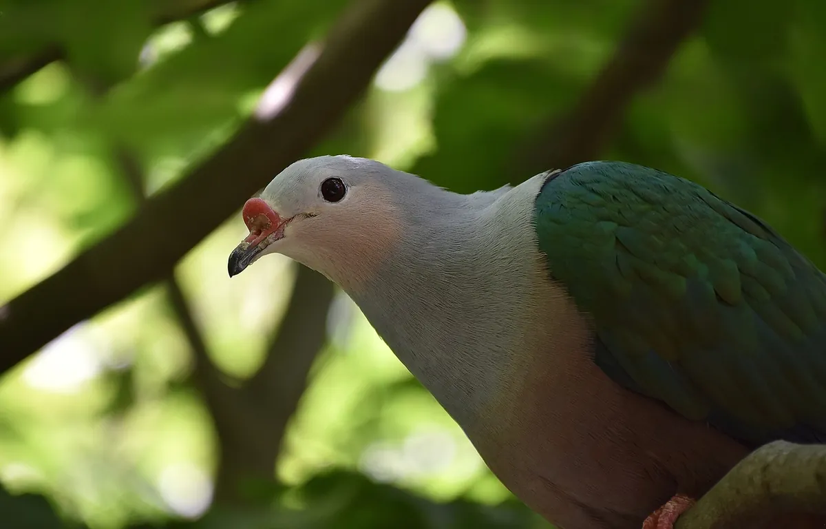 Prospect Park Zoo