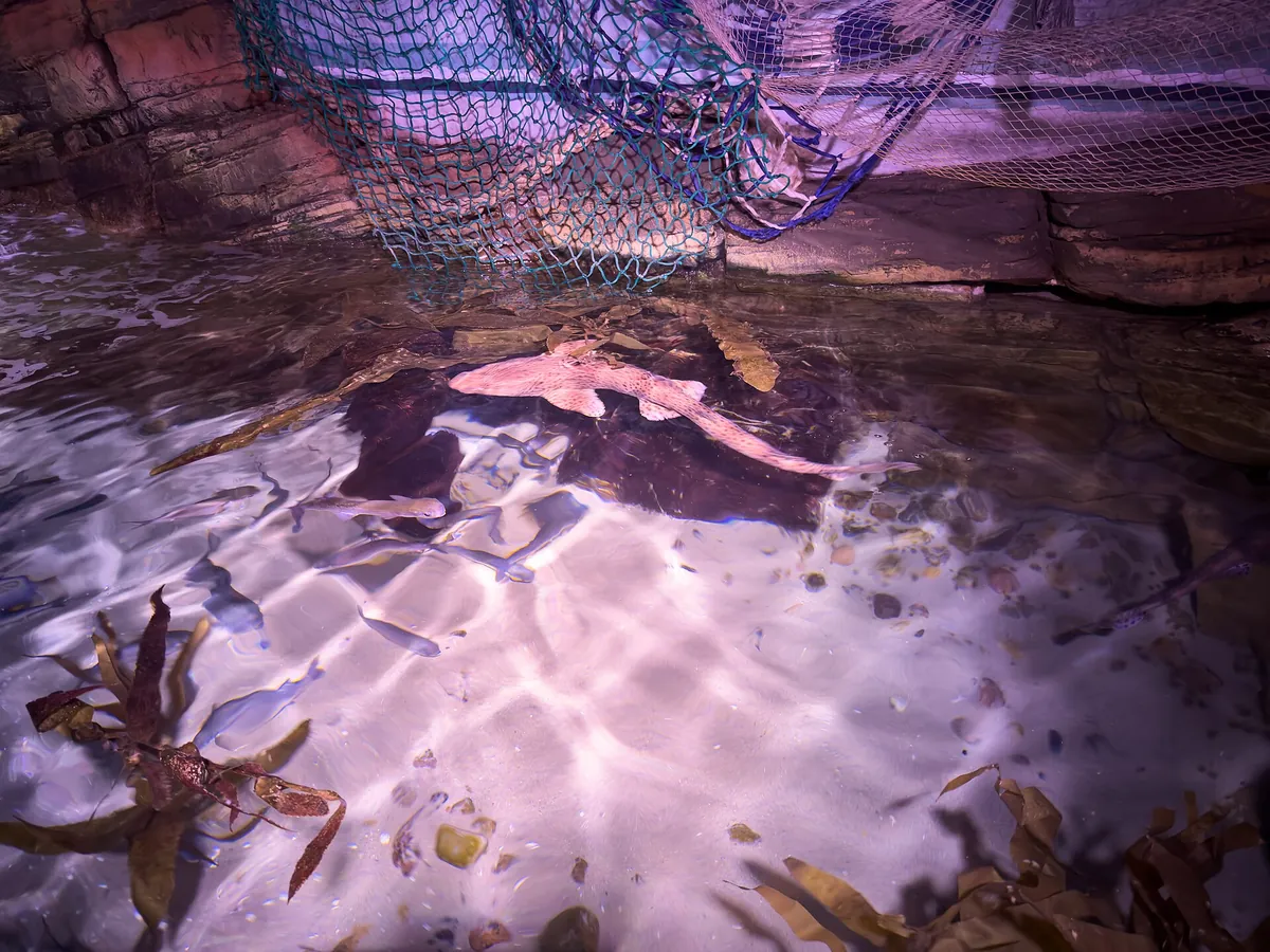 Sea Life London Aquarium