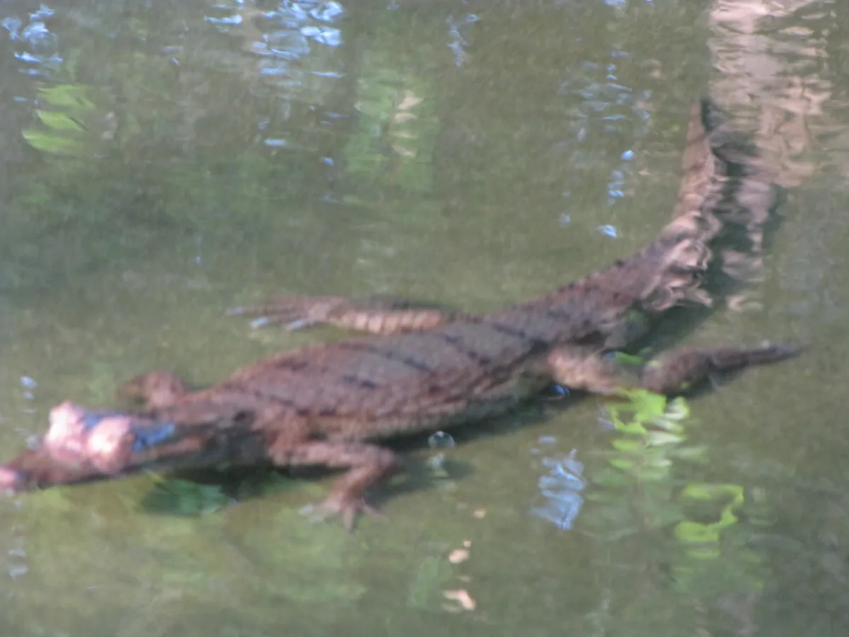Zoológico do CIGS
