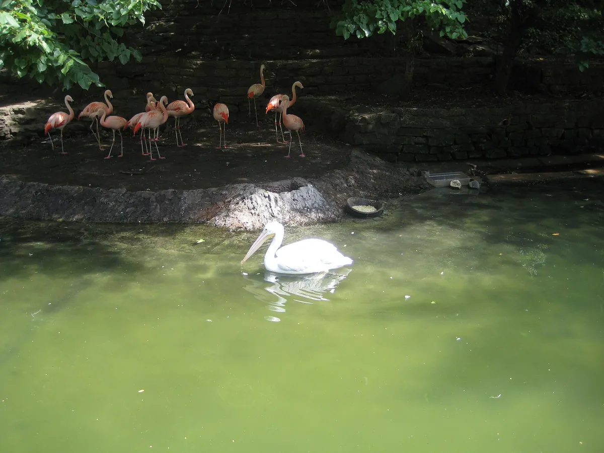 John Ball Zoo