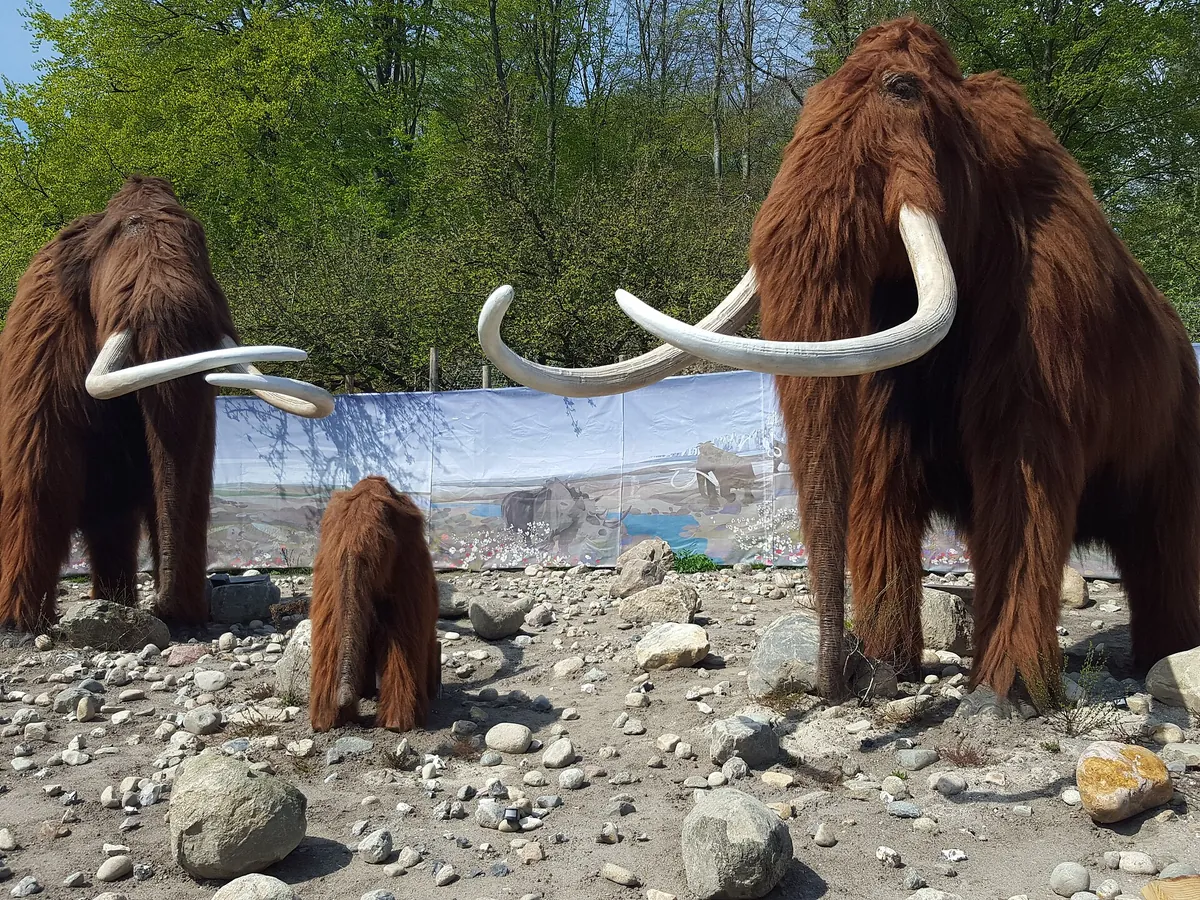 Aalborg Zoo