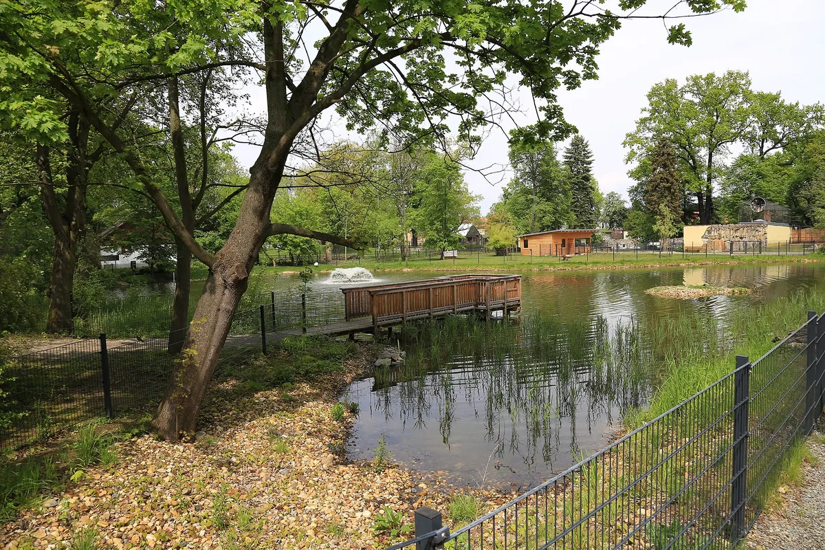 Zoo Hoyerswerda