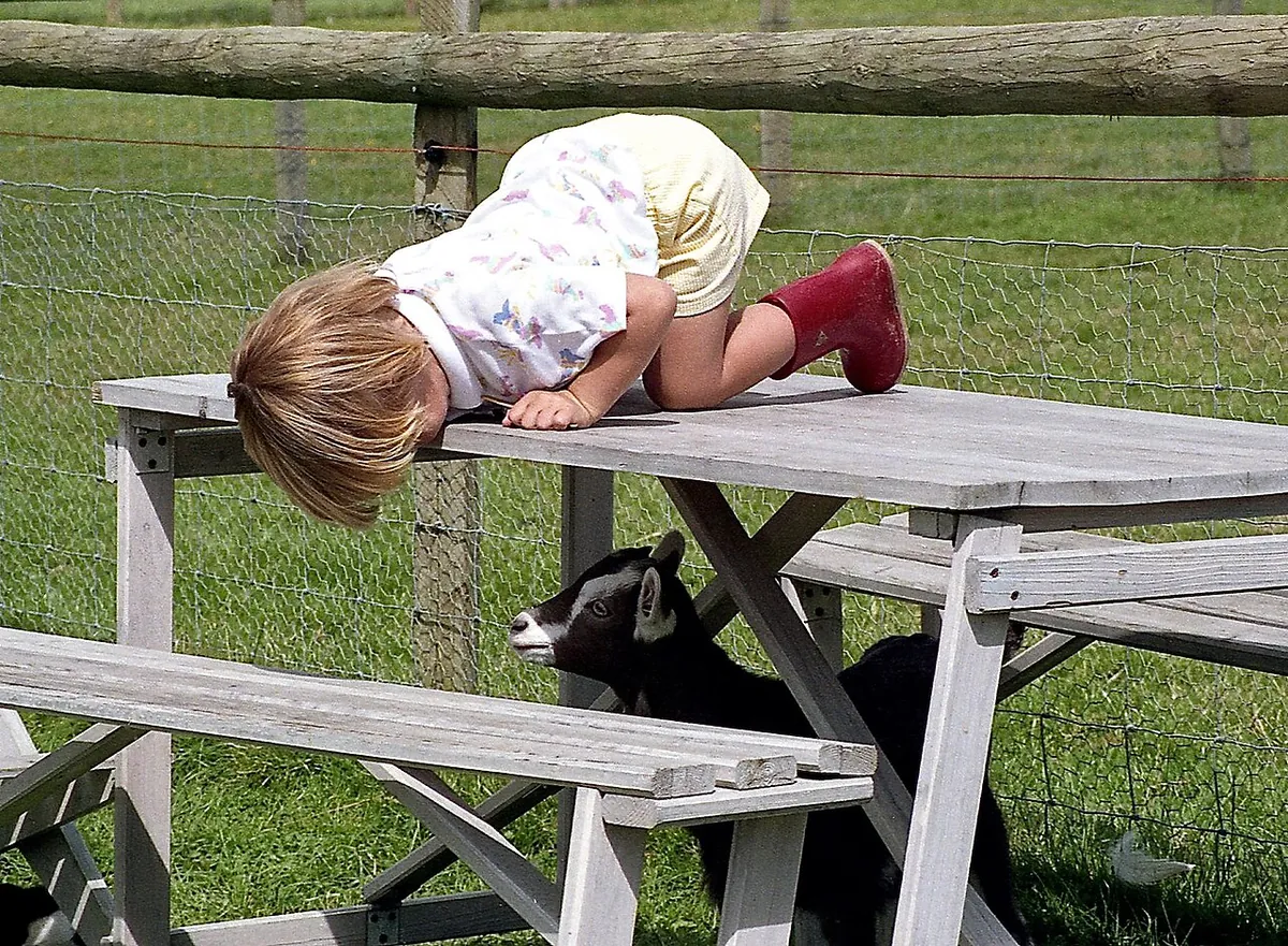 Folly Farm