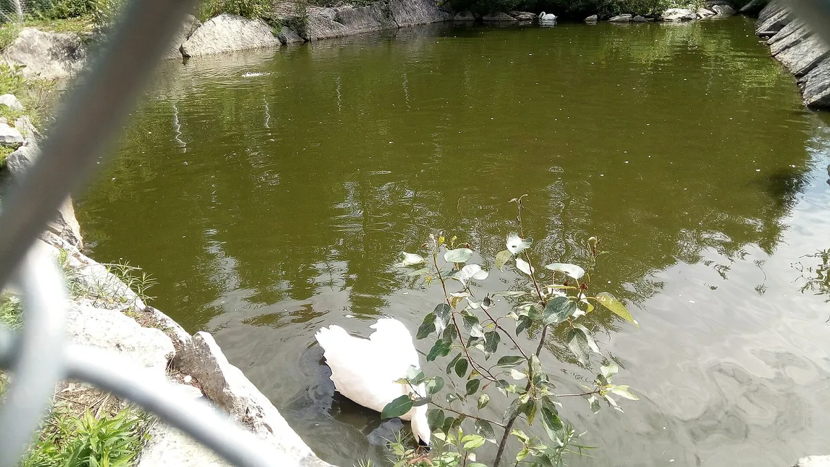 Zoo de Falardeau