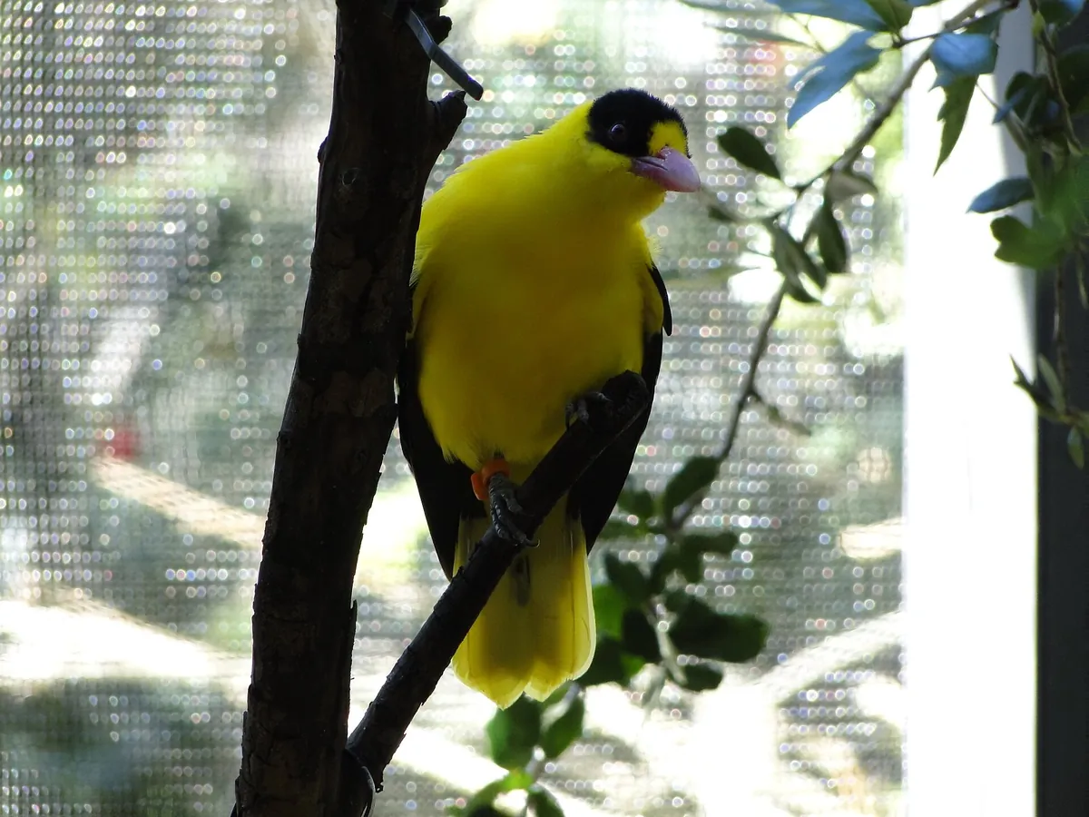 Palm Beach Zoo