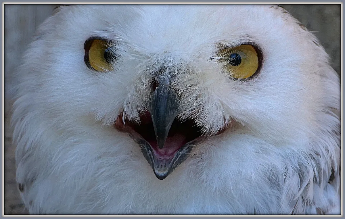 Tierpark Herborn