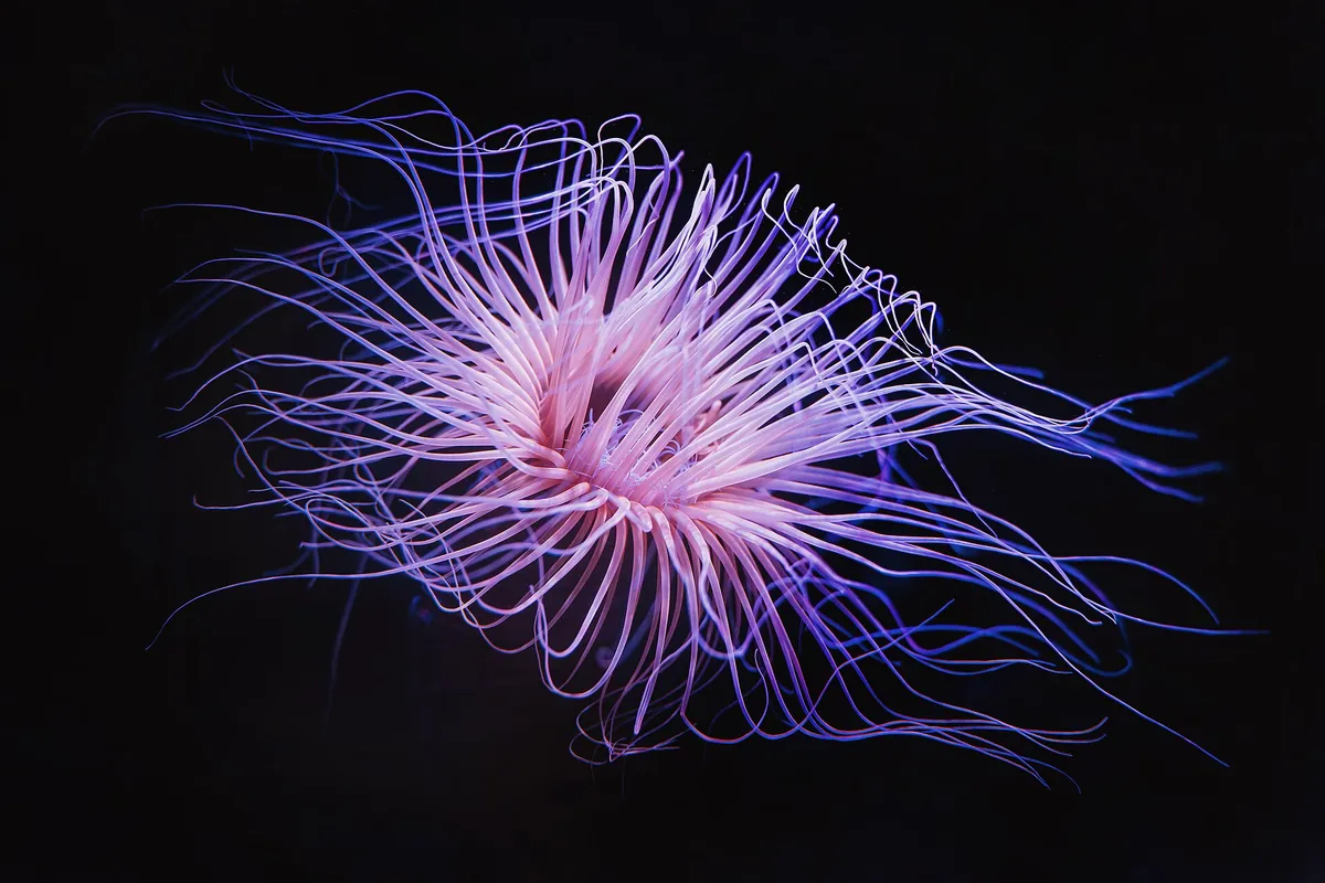 Poema del Mar Aquarium