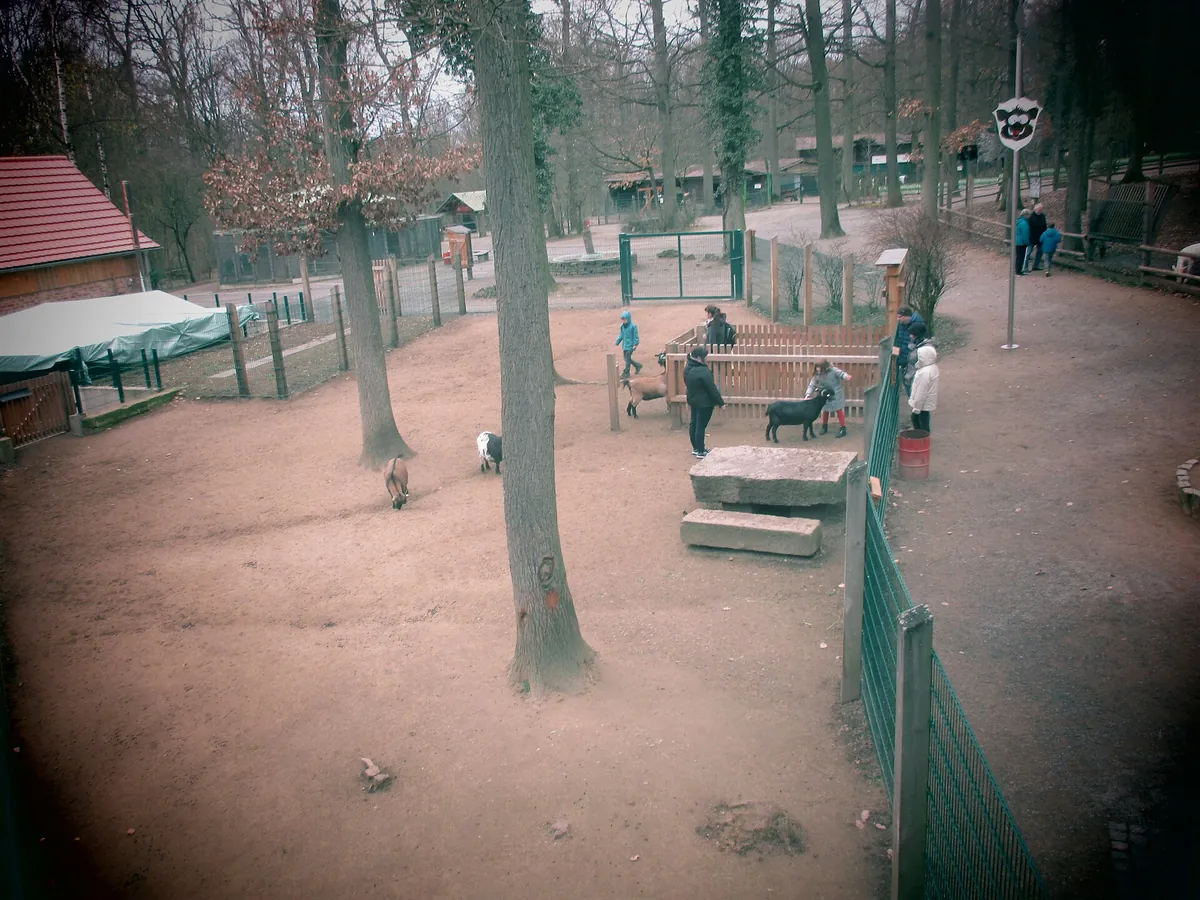 Wildpark An den Eichen