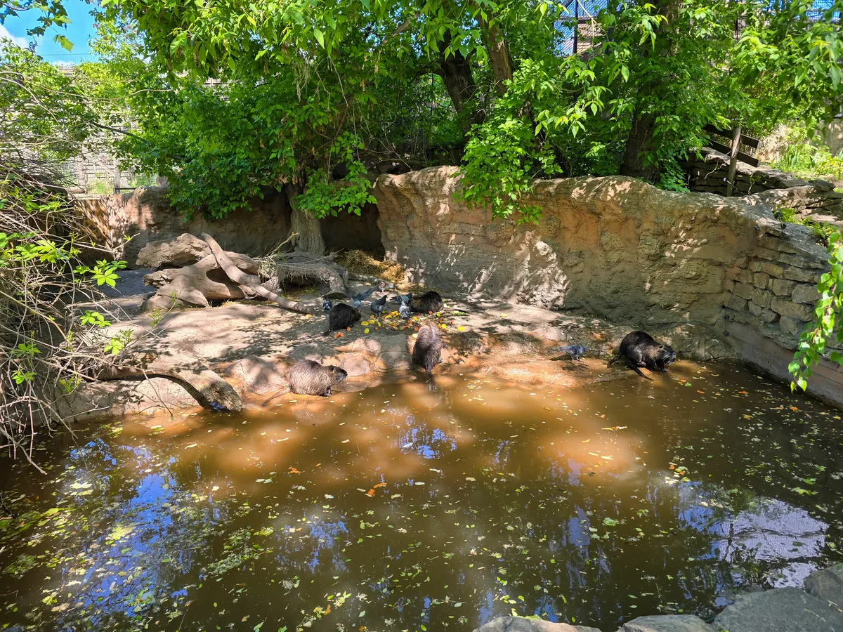Budapest Zoo and Botanical Garden