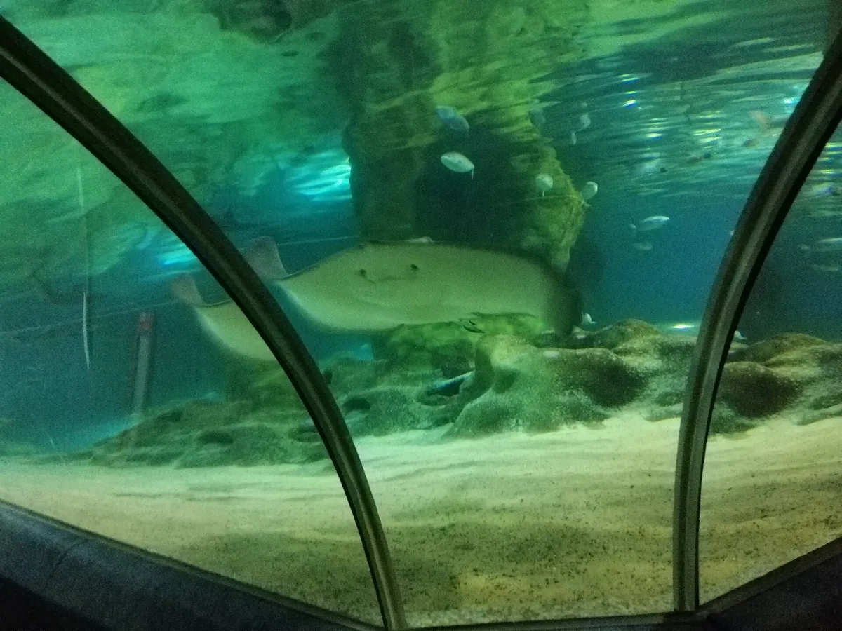 National Aquarium of New Zealand
