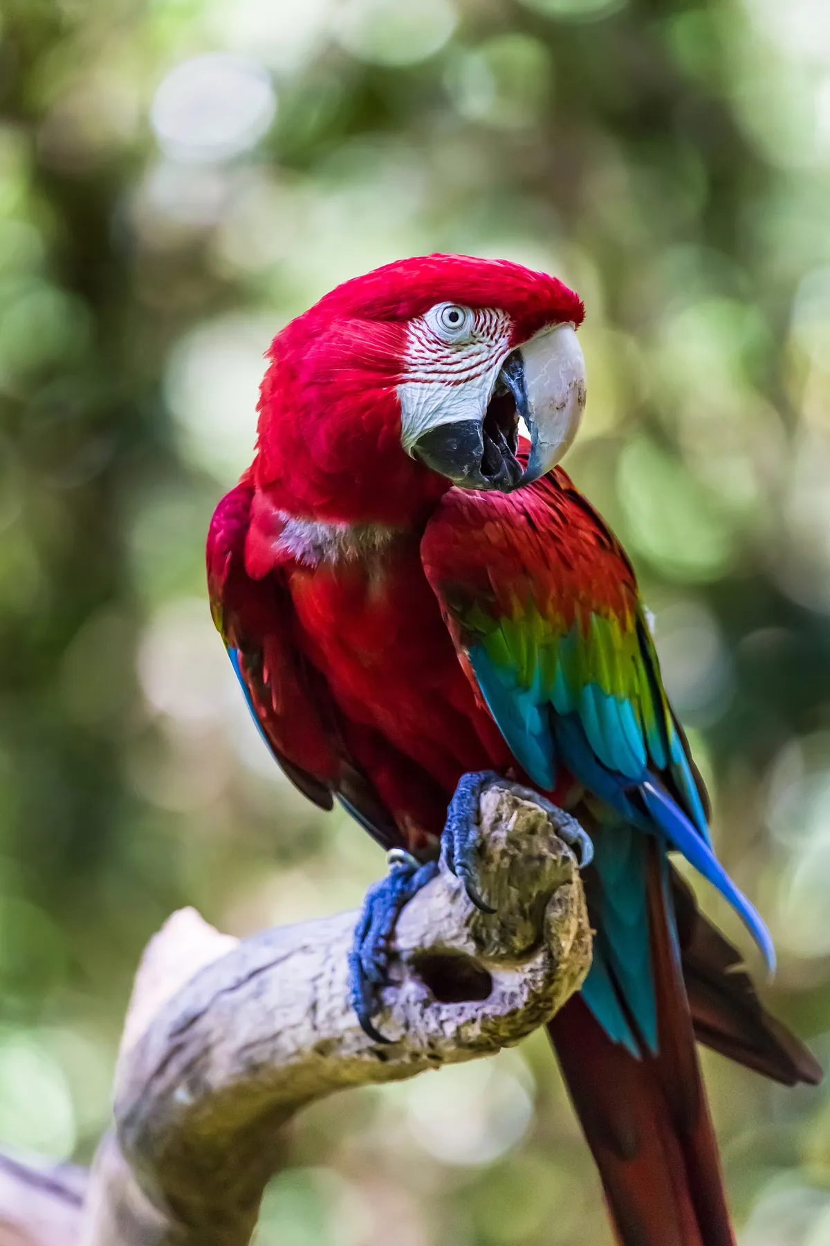Zooparque Itatiba