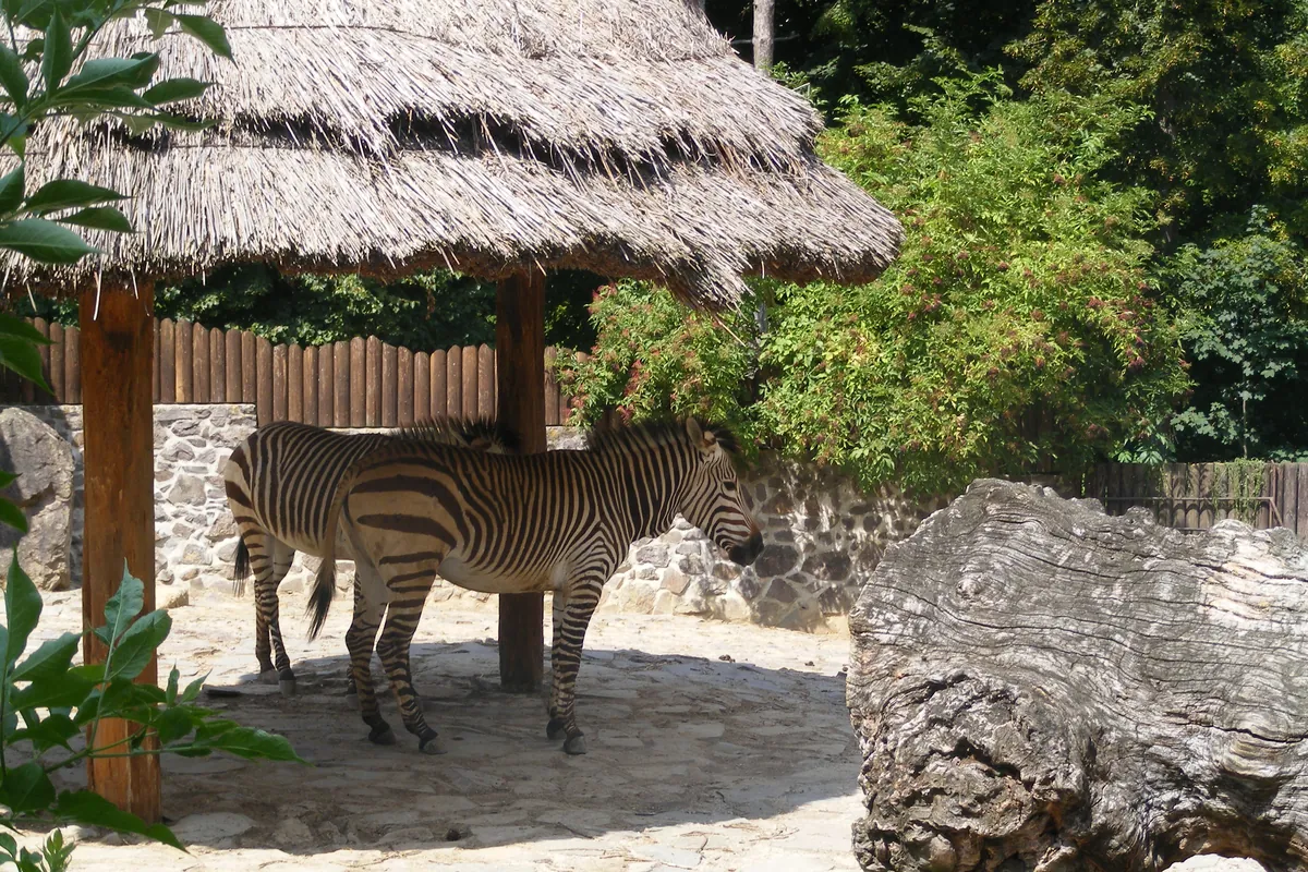 National Zoological Garten Bojnice