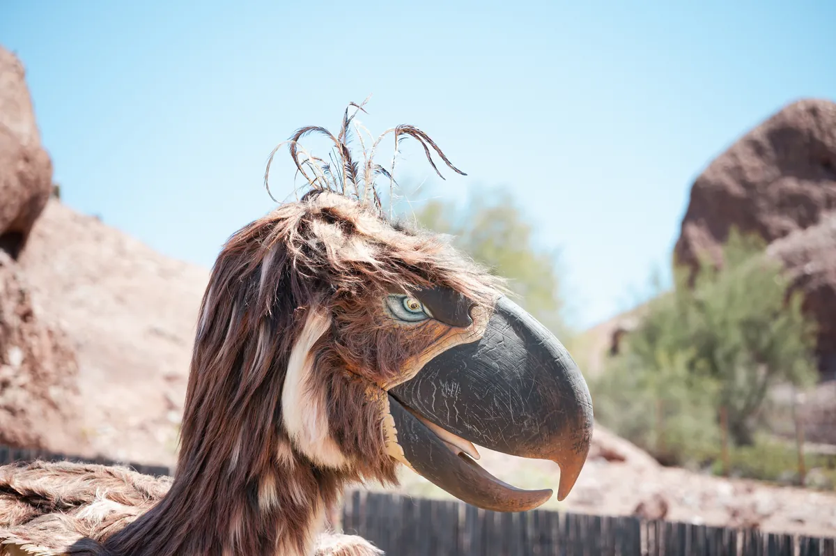 Phoenix Zoo