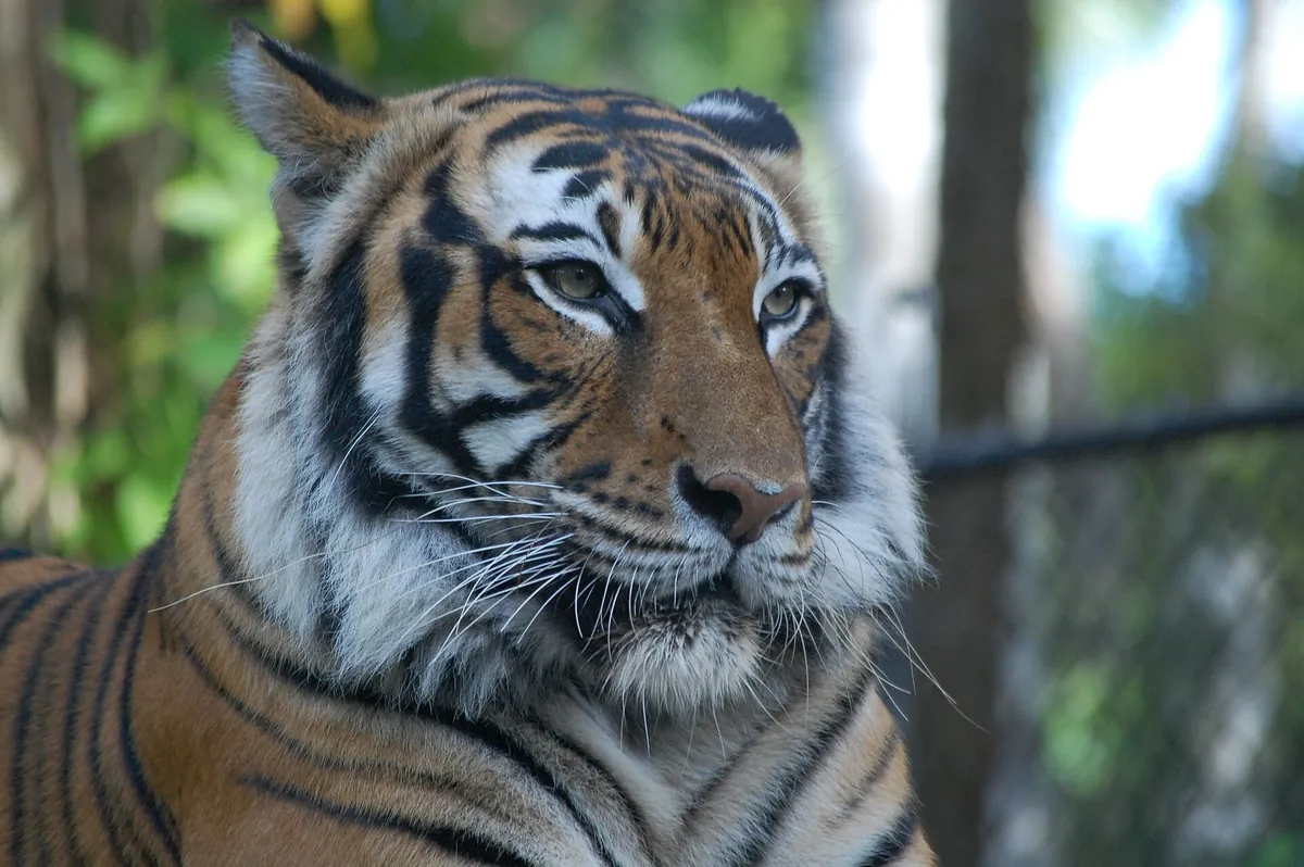 Naples Zoo