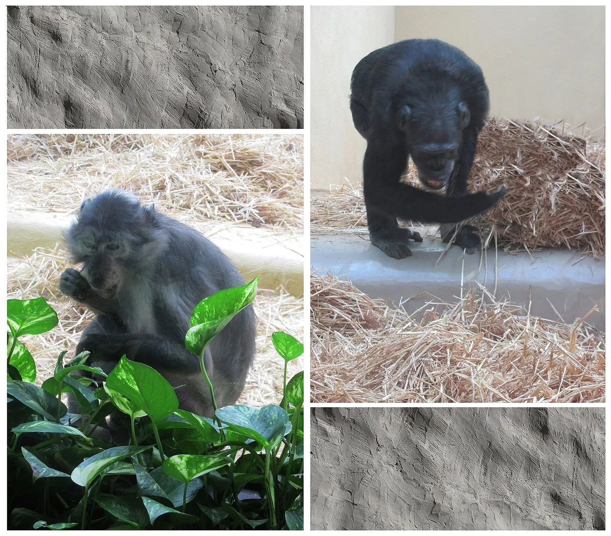 Zoo Landau in der Pfalz
