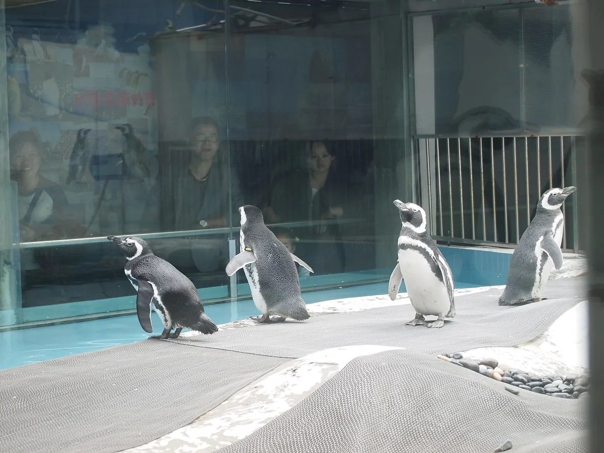 Nanjing Hongshan Forest Zoo