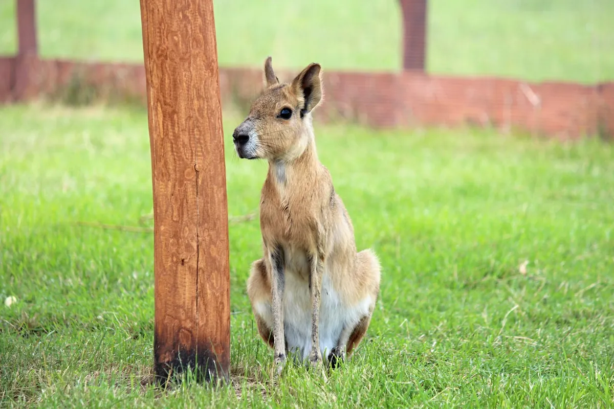 Zoopark Zelčín