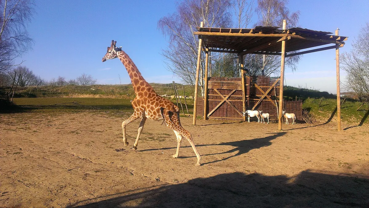 Chessington World of Adventures