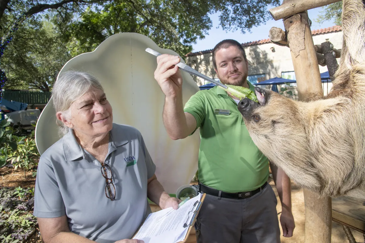 San Antonio Zoological Gardens & Aquarium