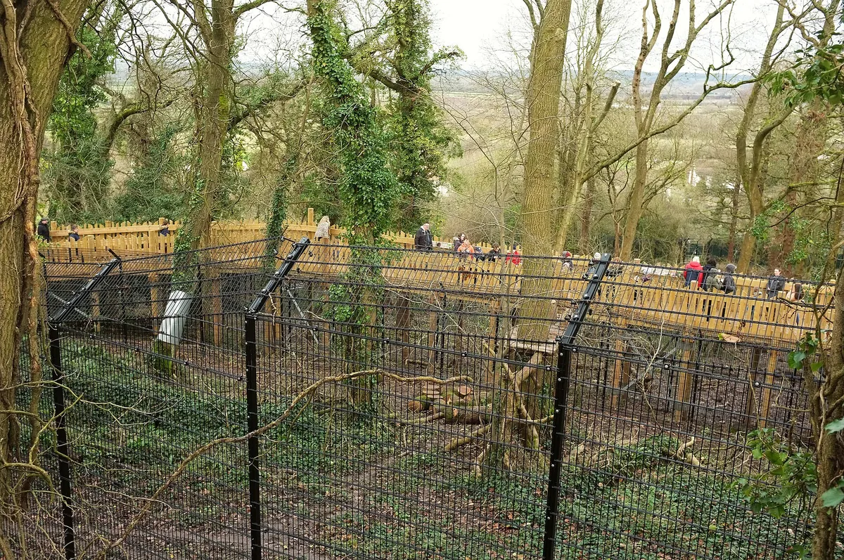 Bristol Zoo Project