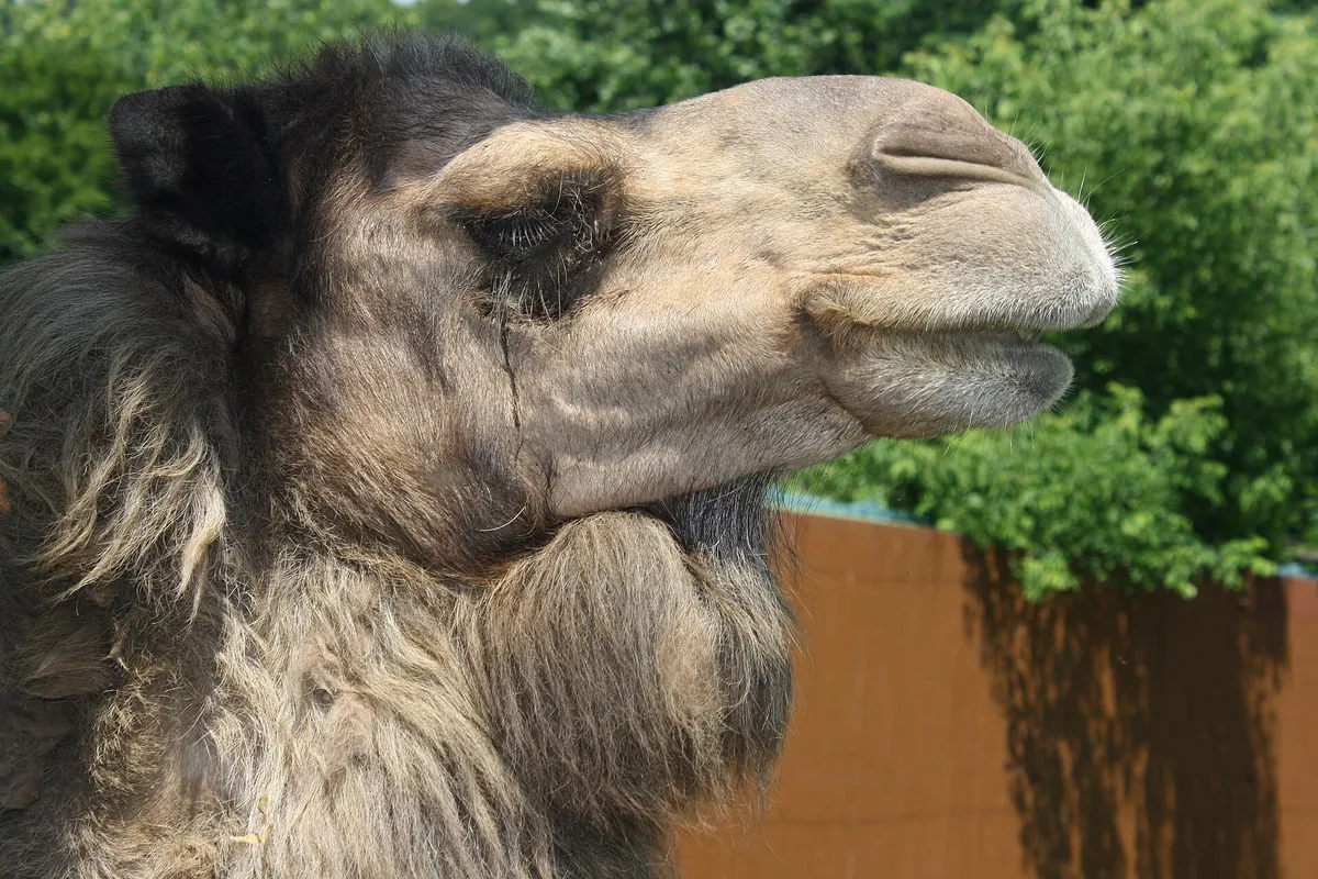 Lehigh Valley Zoo