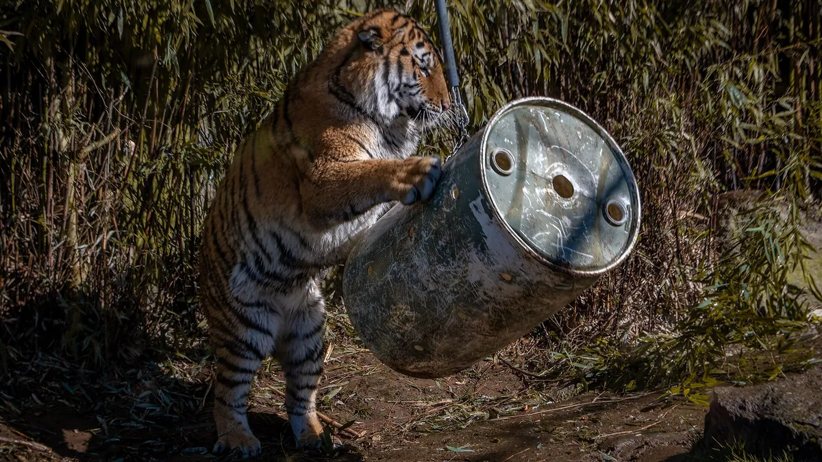 Oregon Zoo
