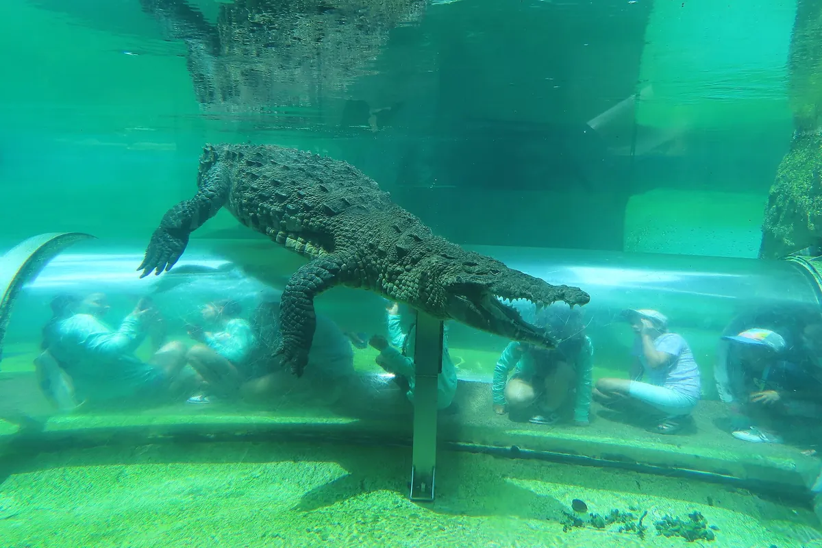 Zoo Miami