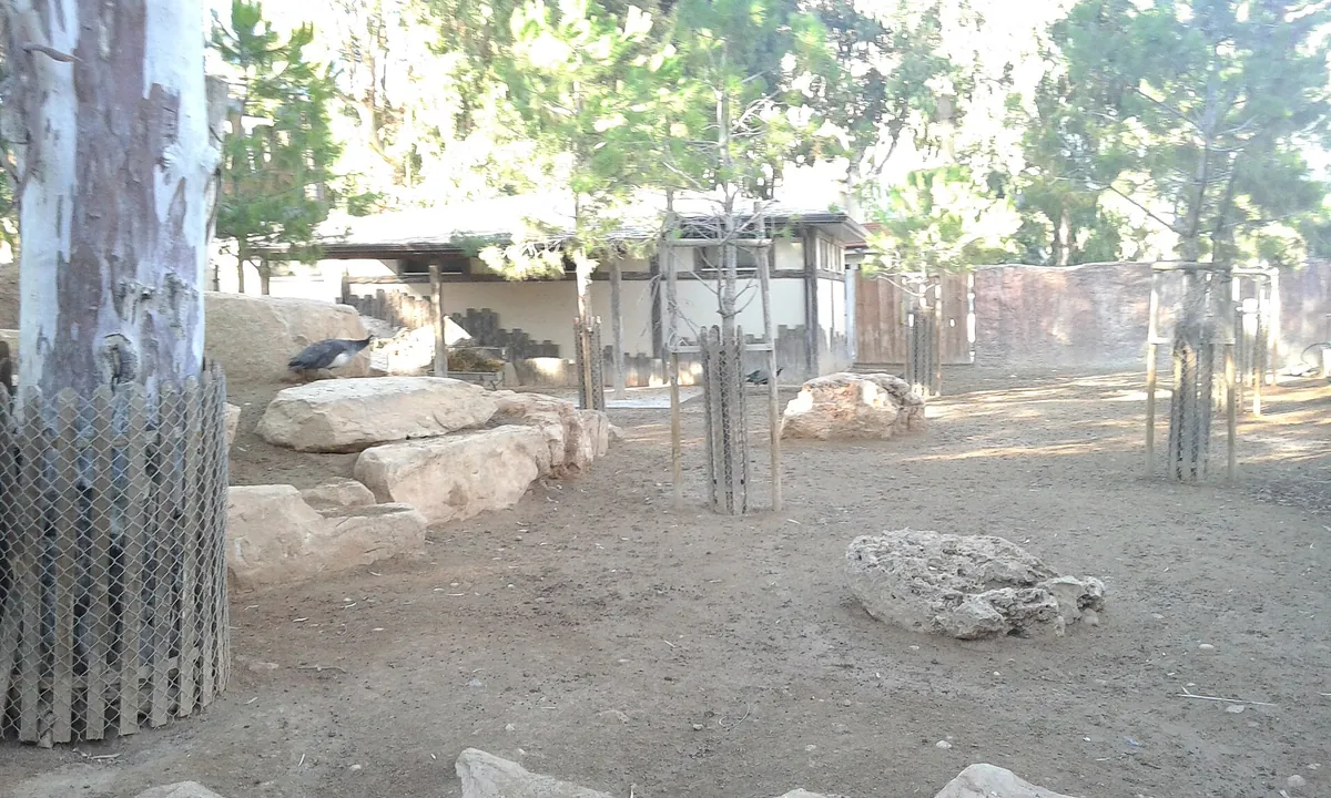 Limassol Zoo