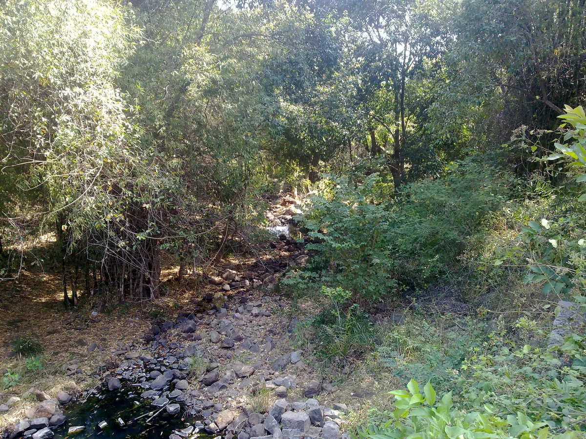 Kurumbapatti Zoological Park